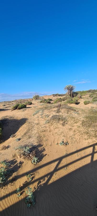 Appartement Guardamar Del Segura El Moncayo المظهر الخارجي الصورة